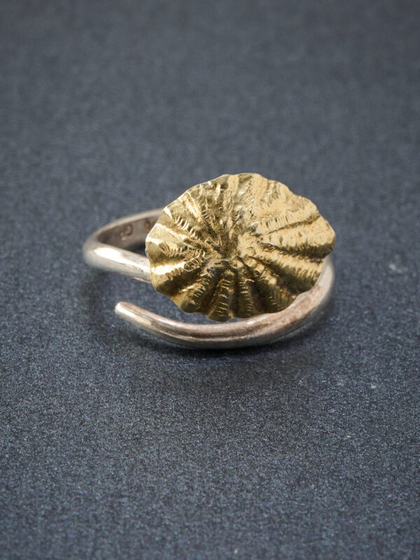 ring_patellida_inspira